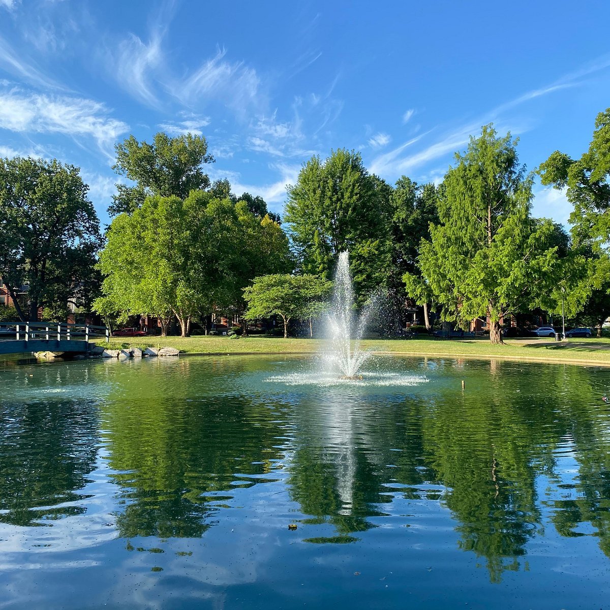 Schiller Park Real Estate Unveiled: Explore Homes with Donna Raven, the Best Real Estate Agent